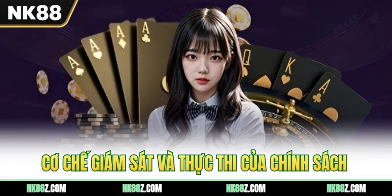 Cơ chế giám sát và thực thi của chính sách
