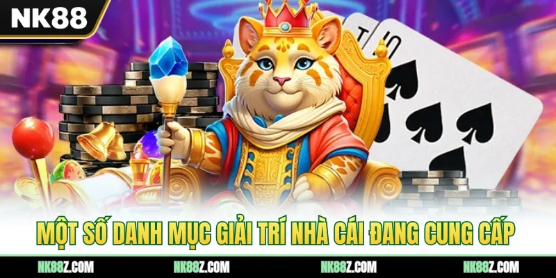 Một số danh mục giải trí nhà cái đang cung cấp